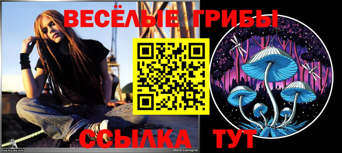 Гудермес  Галлюциногенные грибы MAGIC MUSHROOMS  Вход с VPN 